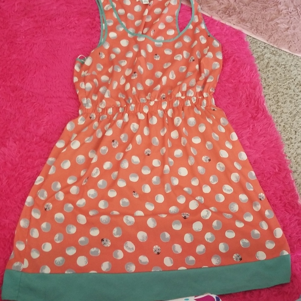 Ladybug dress